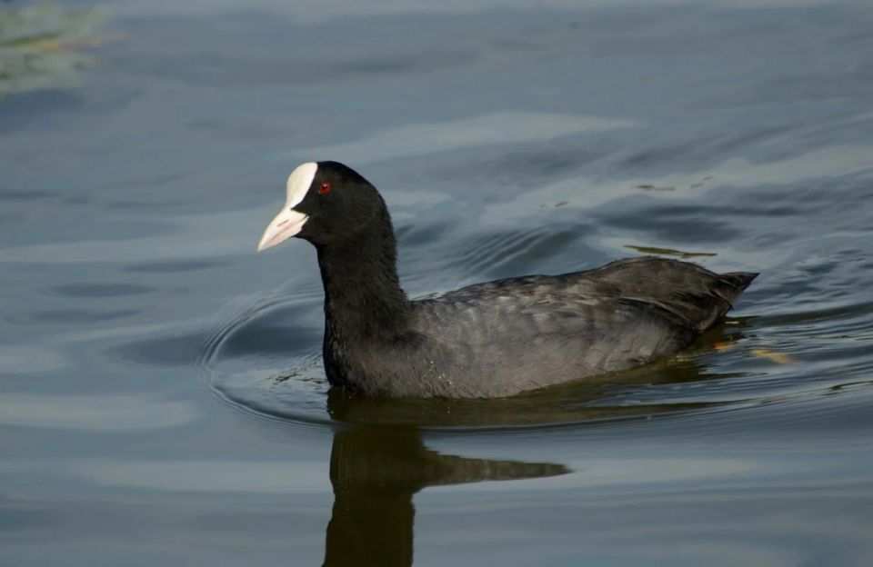 ����� �������� � ����� ��� ����� ��������������?