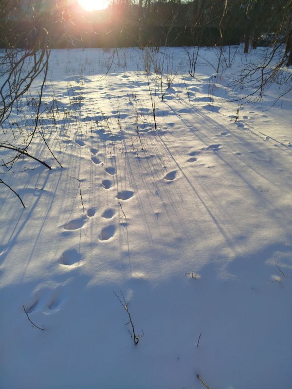 ����� ���� �������� ���� ��������� ������������ ��������