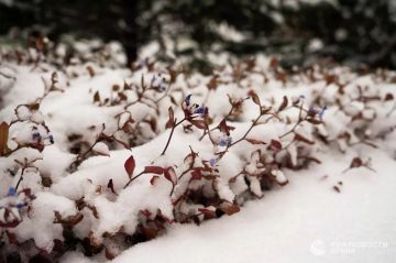 ������ �� ����� ����������� ������