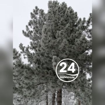 � ������ �����, ���������!