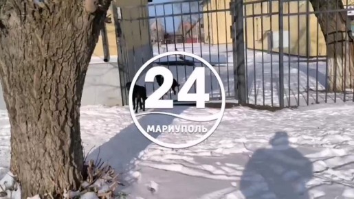 ����� ����� �38 ����������� ������ �������� ����� �� ��������