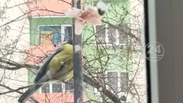 ����� �� �������������� ��������� �� 2026 ��� - � ����� ������� ������ ������������ �������! 05.02.2026