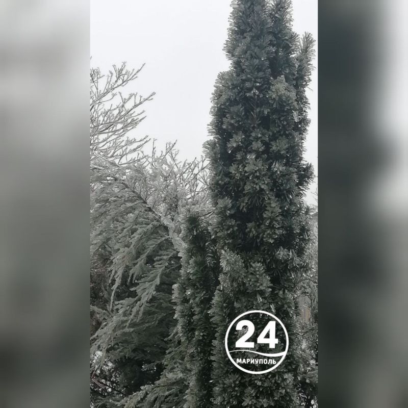 ������� ��������� ������ � ����������� ���������