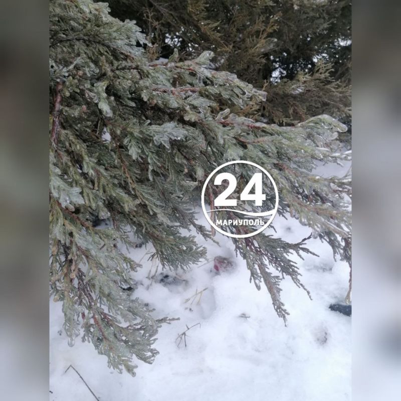 ��������� - � ������� �����!