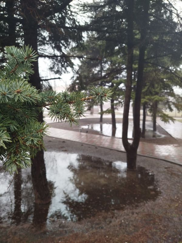 ������� ��������, ��� ������� - ���� ������� ���� � ������