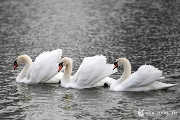 Погода на новых территориях России