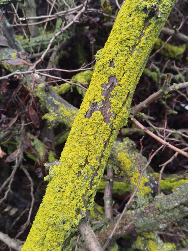 ������� ��������, ��� ������� - ���� ������� ���� � ������