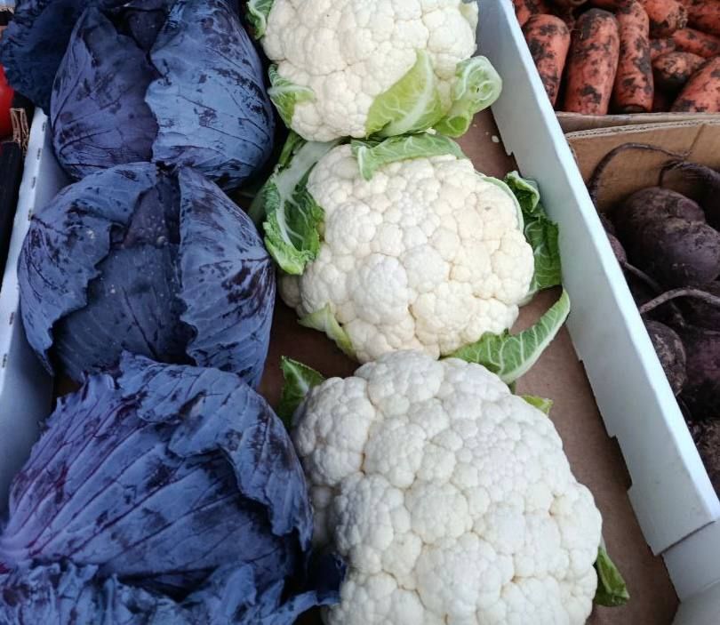 ������������� ������� � ������ ���������