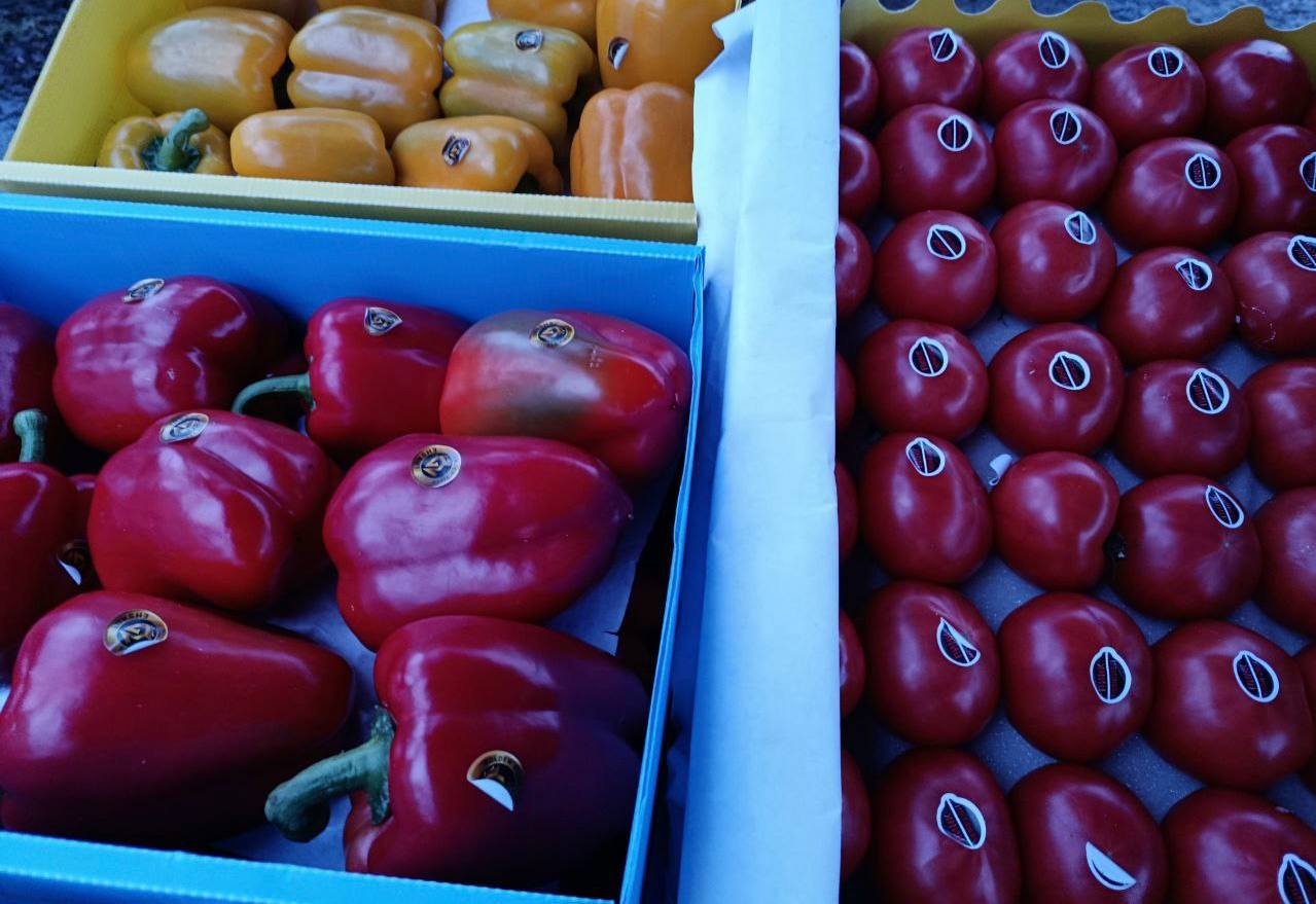 Универсальная ярмарка в городе Мариуполь Универсальная ярмарка в городе Мариуполь