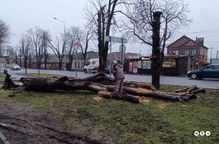 ������������� ������������� ���������� ������������� ��������� ��������