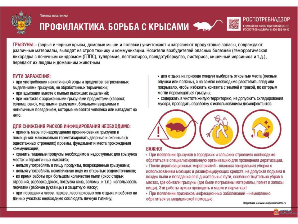 ������� � ����������: ������� �������� ��������� � ����������