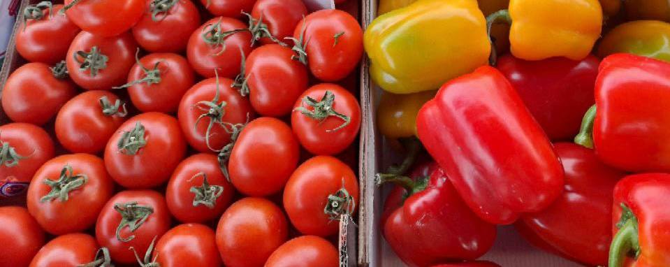 Универсальная ярмарка в городе Мариуполь Универсальная ярмарка в городе Мариуполь