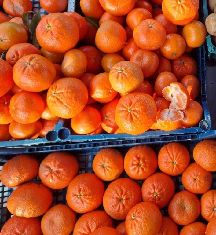 ������������� ������� � ������ ���������