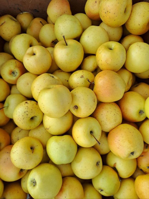 ������������� ������� � ������ ���������