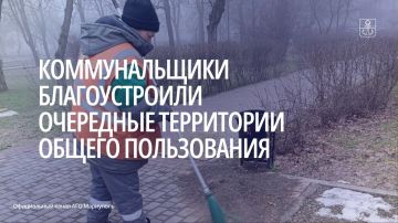 Сотрудники МБУ «Зеленстрой» освободили от растительного и случайного мелкого мусора пешеходные зоны на площадях Ленина и Ленинского Комсомола, а также у спорткомплекса «Нептун»