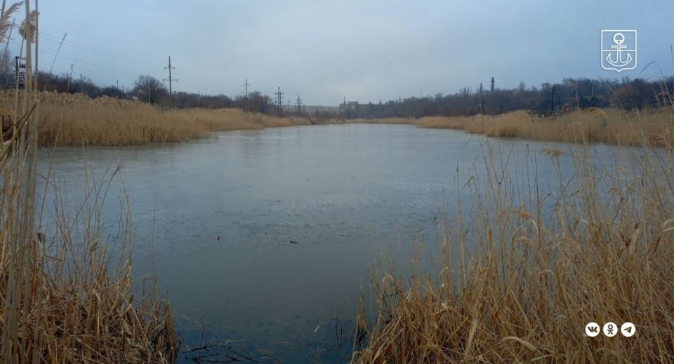 � ��������� ������� ��������� ������ �������