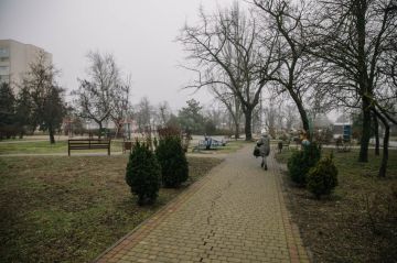 ����� �������: � ���� ���� ����������� ������ �������� � ��������� ����������� ������ ����������