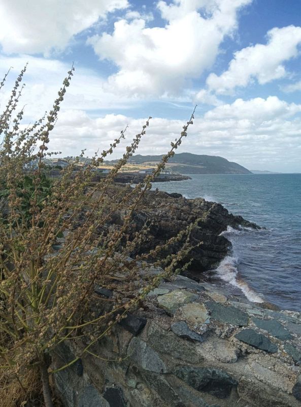 ������ ������� ��� ��������� ��� ����������� ��� � ����������� ���������� ������-������������ ���������� � ����� � ��������� ���������� ������������� � �������� ���������