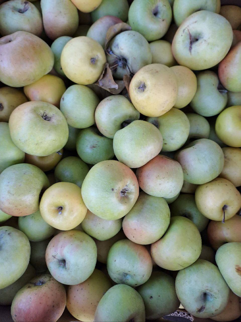 Универсальная ярмарка в городе Мариуполь Универсальная ярмарка в городе Мариуполь