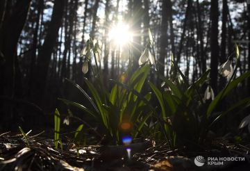 ������ �� ����� ����������� ������