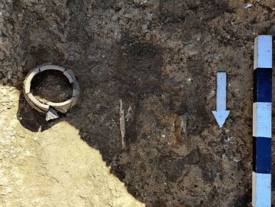 ��������� ����� 19 ����������� � ������ ������������