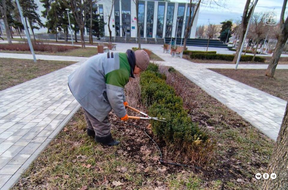 В зеленых зонах Мариуполя коммунальщики проводят формовочную обрезку кустарников