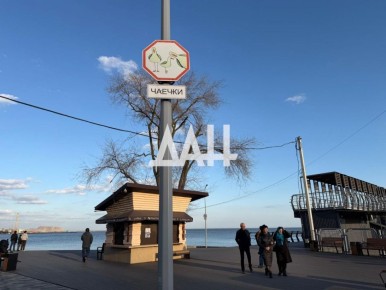 �������� ����� �������� ��� ����� � ���������