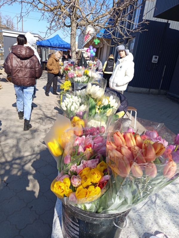 Сегодня воздух солнечного Мариуполя пахнет цветами и весной