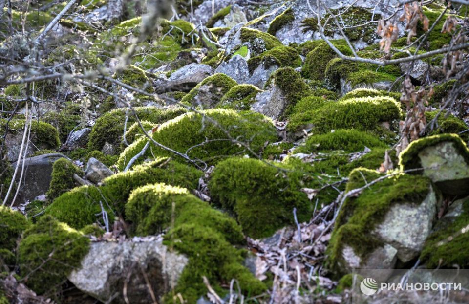 Погода на новых территориях России