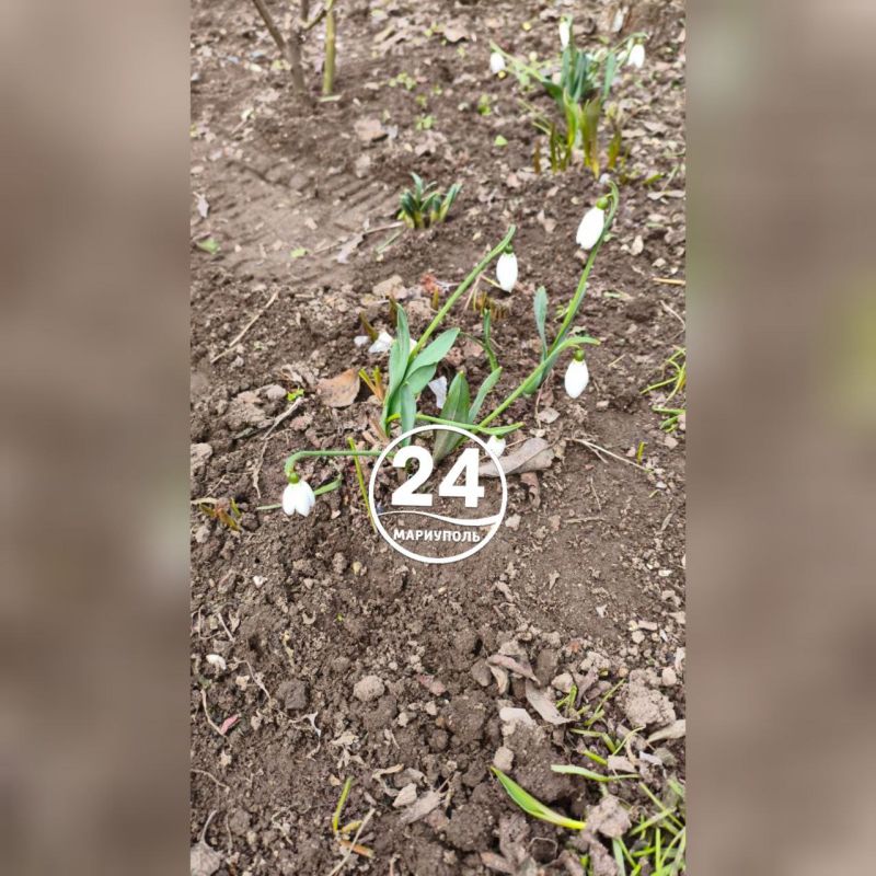 ����� ��������. ��� ����� ������� � ���� �� ������: ������ ����� �����