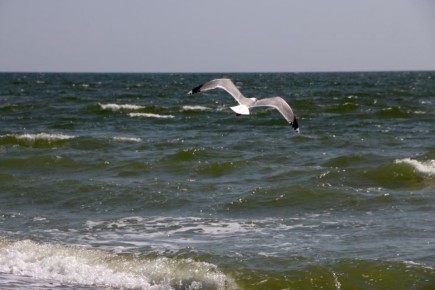 Между Широкино и Безыменным проектируют гостиницы, санаторий, аквапарк и винодельню
