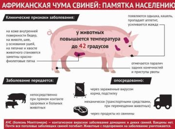 � ����� �������������� ��������������� �������� �������� �������� ����������� � �������� �������������, � ����� ������������ ������������� ����������������� ������ ���� � ����������� ���� ������