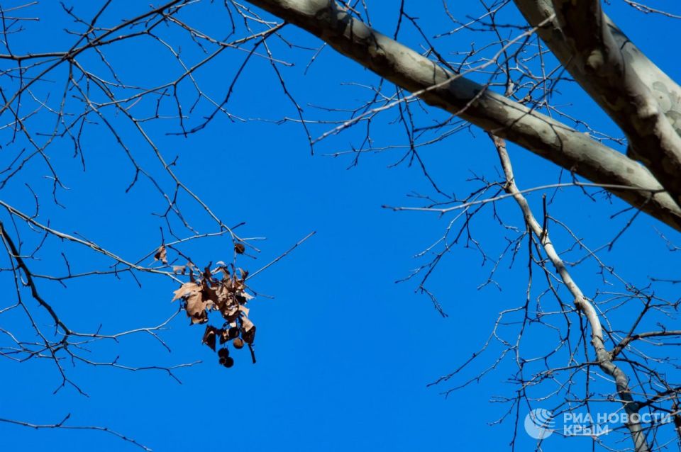 Погода на новых территориях России