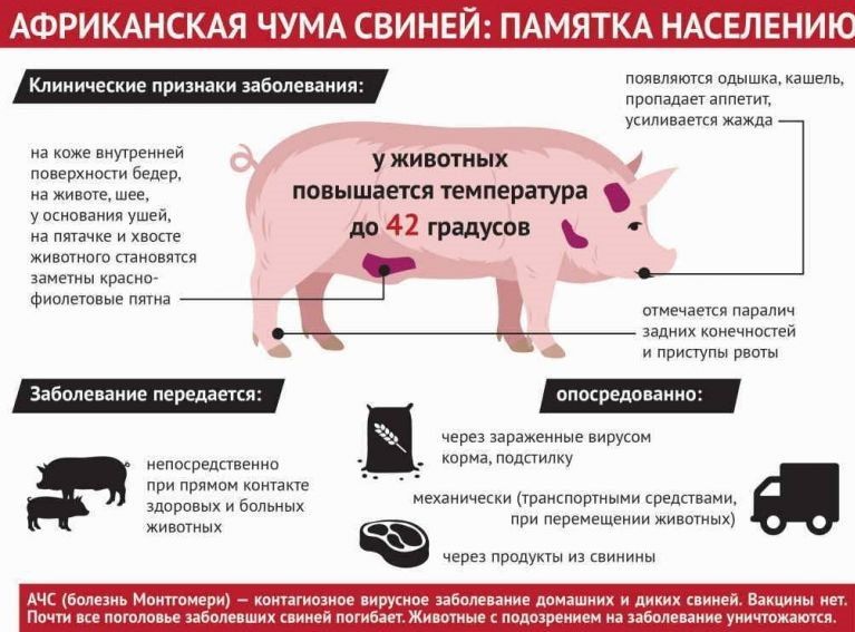 � ����� �������������� ��������������� �������� �������� �������� ����������� � �������� �������������, � ����� ������������ ������������� ����������������� ������ ���� � ����������� ���� ������