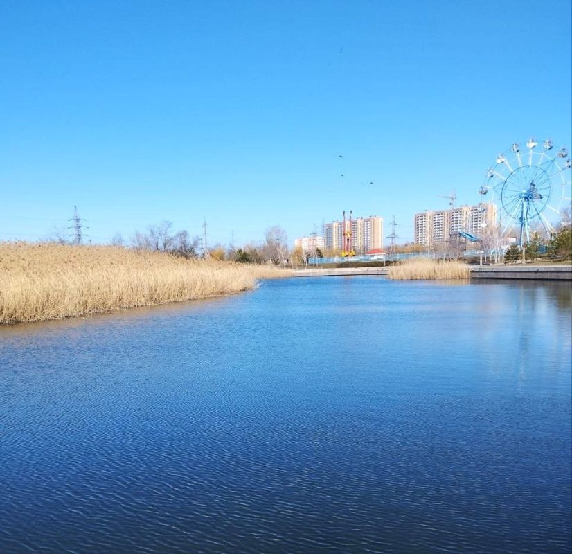 ������� ���������� ����������� ������ ������� � ����� ���������