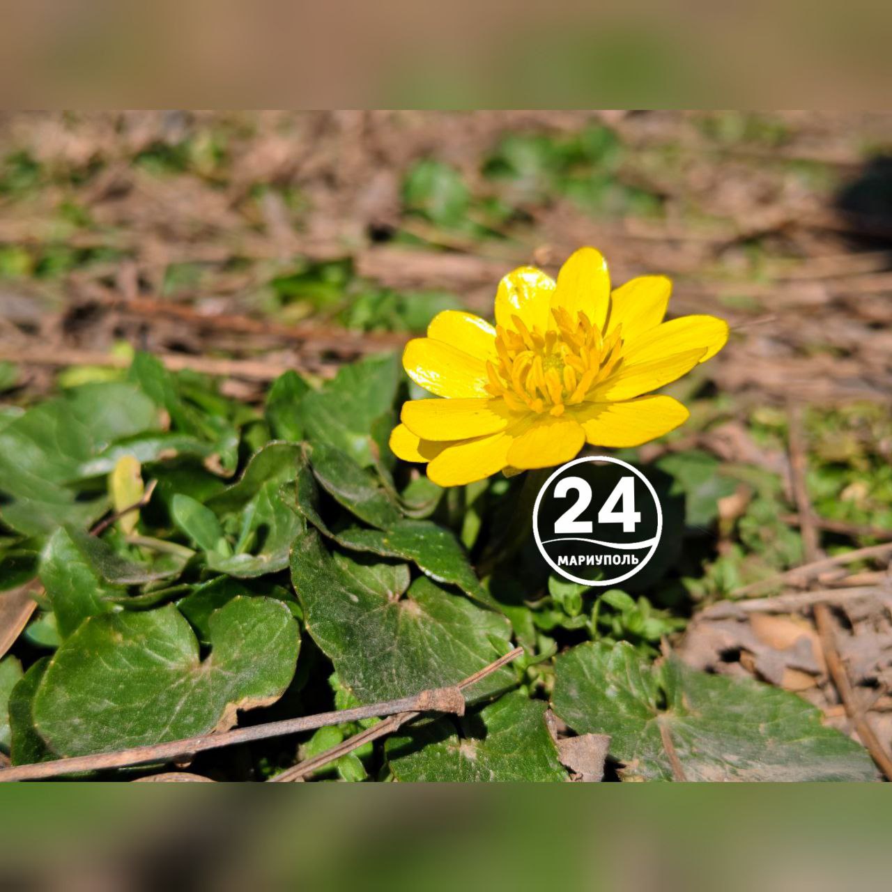 С добрым утром, Мариуполь!