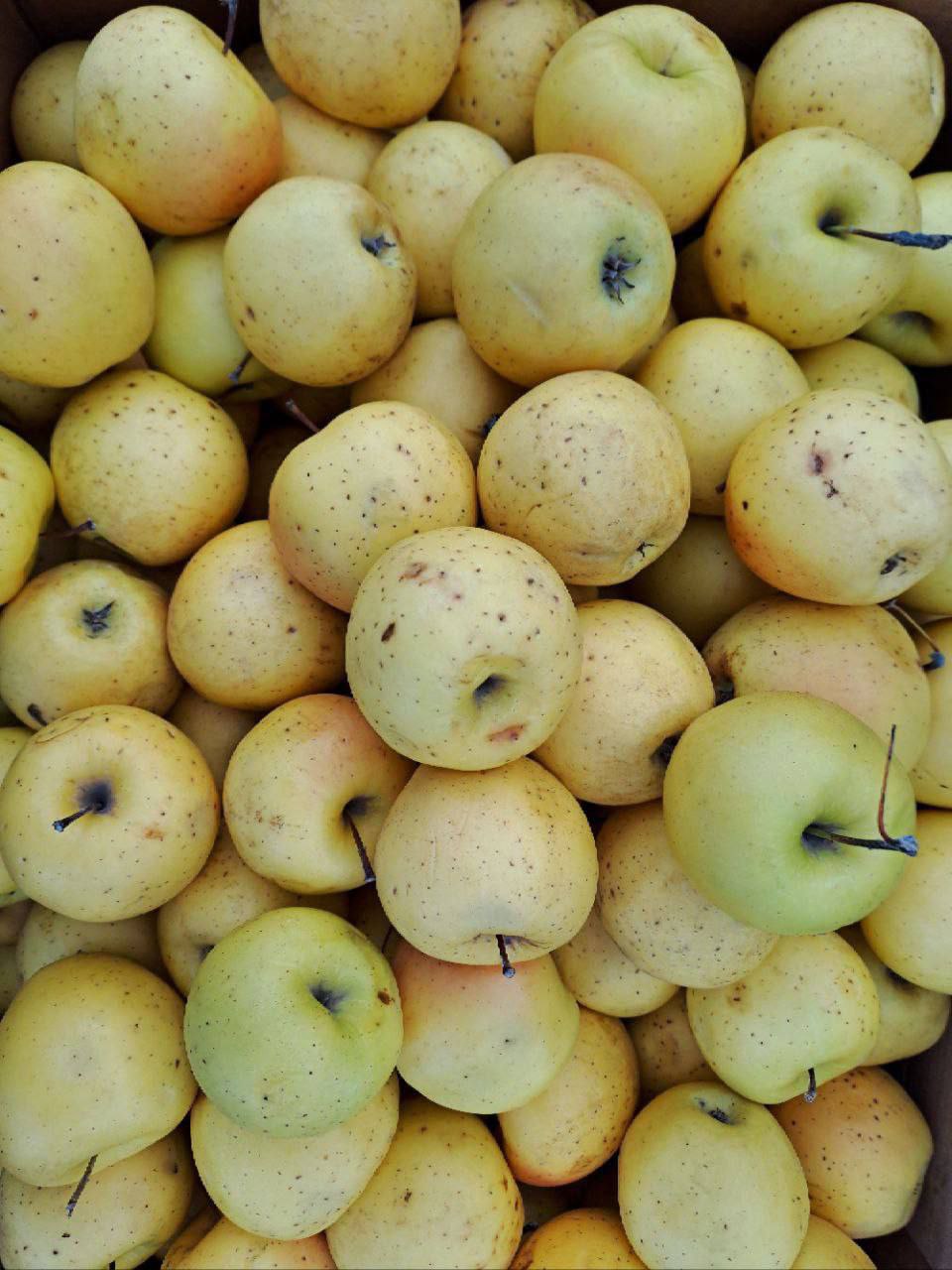 Гурген Малхасян: Итоги рабочей недели. Дорогие друзья! Подведём итоги насыщенной трудовой недели Гурген Малхасян: Итоги рабочей недели. Дорогие друзья! Подведём итоги насыщенной трудовой недели