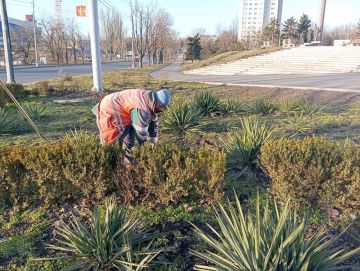 � ��������� ������������ �������� ������ �� ��������������� ������� ���