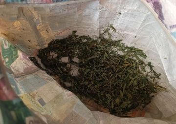 Полицейские выявили факт незаконного хранения наркотиков в Иловайске