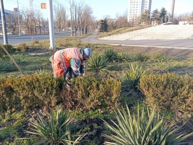 В Мариуполе продолжаются активные работы по благоустройству зеленых зон