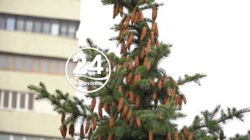 � ������ �����, ���������!