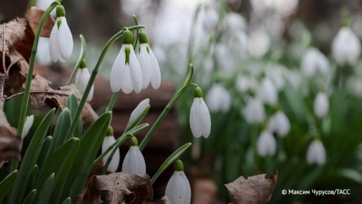 ������� ������� �� ���� �� ������� ��� � ����� �� 1 ��� ������ ����� ������� �� ��������� �����������