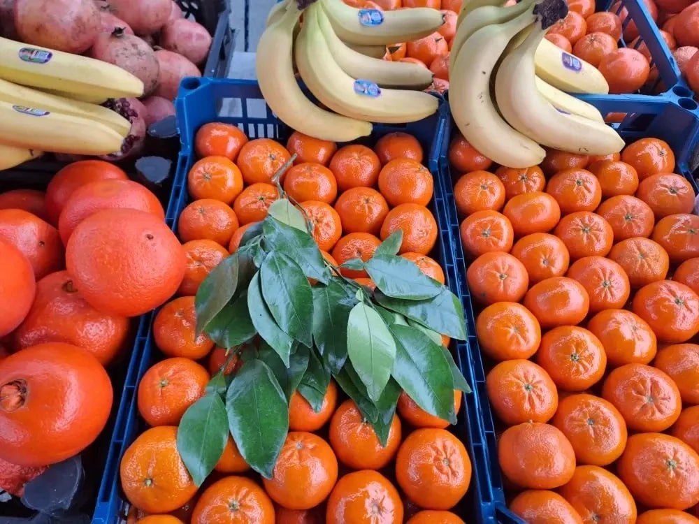 Универсальная ярмарка в городе Мариуполь Универсальная ярмарка в городе Мариуполь