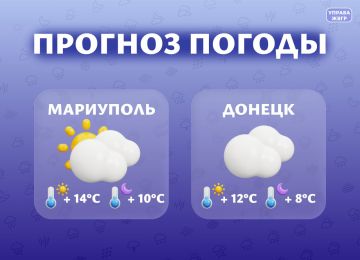 ������� ������ �� 23 �����