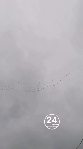 ��������� ����, ���������!