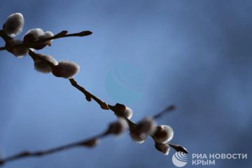 ������ �� ����� ����������� ������