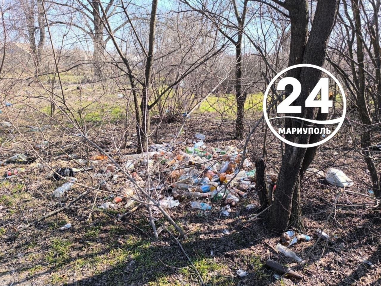 Местные жители продолжают присылать фотографии зеленой зоны в районе Новоселовки в надежде, что власть и коммунальные службы обратят внимание на проблему и территорию уберут Местные жители продолжают присылать фотографии зеленой зоны в районе Новоселовки в надежде, что власть и коммунальные службы обратят внимание на проблему и территорию уберут