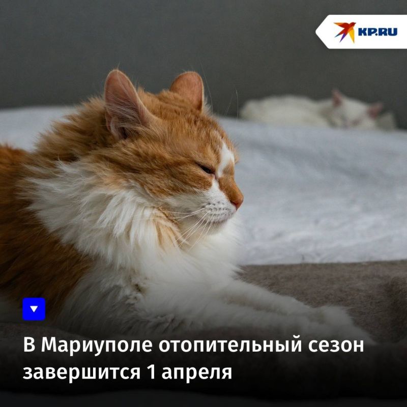 � ��������� ������������ ����� ���������� 1 ������