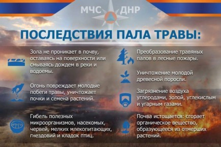 МЧС России по ДНР напоминает о запрете пала сухой травы и его тяжелых последствиях