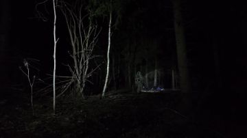 ��� ������ � ���������� ������� ������������ ������, ��������������� ����������� �� �� ������� ��������� �������